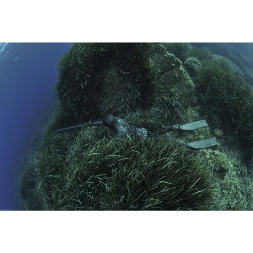 Cressi Tracina 5 mm spodnie (LE465102)